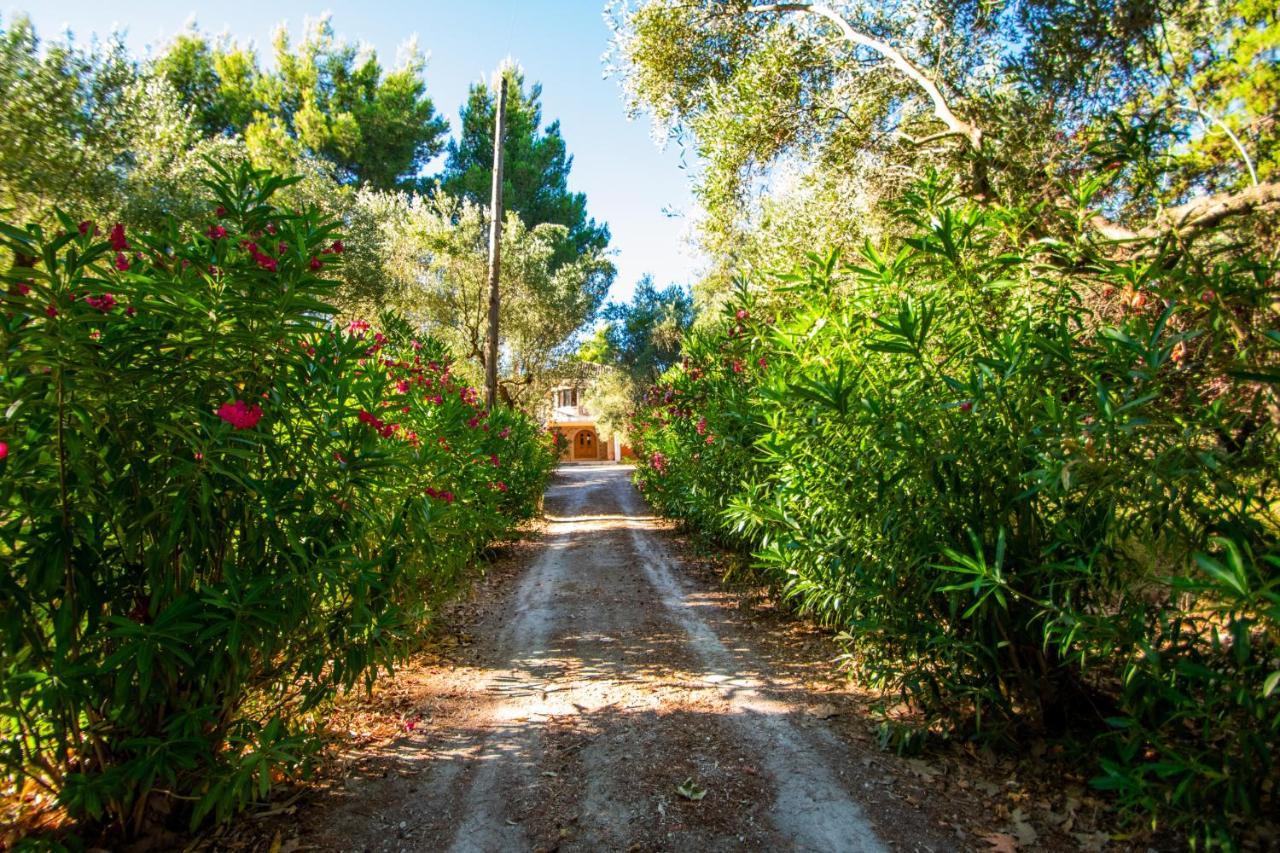 Villa Doliva Estate Laganas Esterno foto