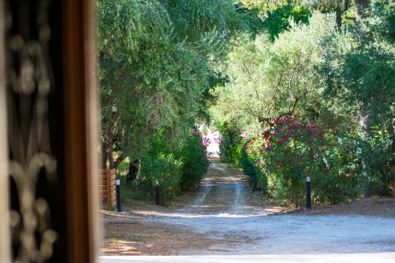 Villa Doliva Estate Laganas Esterno foto